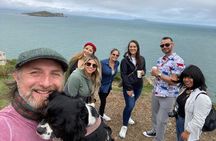 Dublin Coastal Hike, Pints & Puppies Adventure
