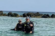 Night Shore Diving Mangel Halto Aruba for Certified Divers