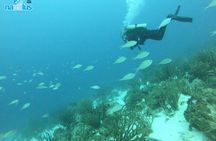  Boat Dive Shipwreck/ Airplanes/ Reef /2 tanks 
