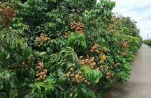 Private Day Tour to Qianlonggou Waterfall and Xitou Village from Guangzhou