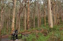 Fully Tailored Private Bespoke Tour of Margaret River