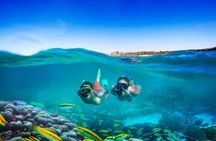 Negril Seven Miles Beach, Snorkeling, Boat Ride, Ricks Cafe Combo