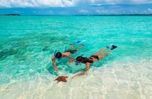 Negril Seven Miles Beach, Snorkeling, Boat Ride, Ricks Cafe Combo