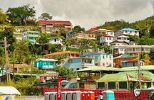 Roseau's Best in a 2-Hour Private Walking Tour