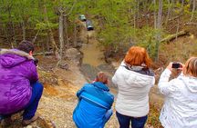 Full-Day Lakes Off-Road 4x4 Experience + Argentine Lunch