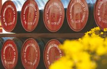 Giant's Causeway and Belfast City Murals Tour inc Game of Thrones Dark Hedges