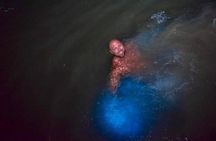 Ocho Rios Luminous Lagoon Swim Experience 