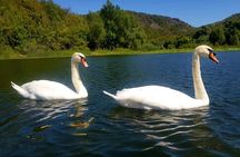 Skadar Lake & Virpazar return trip from Podgorica city