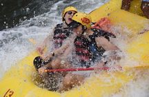 White Water Rafting: Class III and IV on The Tenorio River