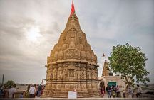 Glimpses of Wildlife & Footstep of Gandhi Gujarat Tour (10 Days)