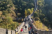 Beijing Private Layover Guide Tour to Mutianyu Great Wall and Forbidden City 