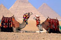 Giza Pyramids, Sphinx, Memphis, Saqqara, with private tour guide