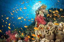 Full day tour to red sea safaga from Luxor