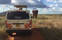 3 Days Tsavo East & West Safari from Diani Beach Mombasa