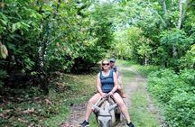 Private Tour in Miches with La Jarda Waterfall Experience