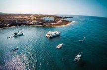 Tenerife Sunset Catamaran tour with transfer - Food and Drinks included.