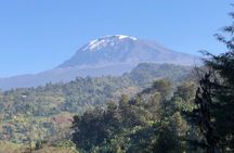 Materuni Waterfalls & Coffee Tour 