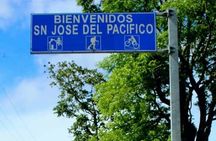 Amazing experience in the mountain of San Jose del Pacifico