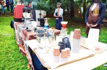 Half Day Private Fairview Estate Coffee Farm Tour with Pick Up