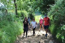 Coastal "Winery Camino Trail" Walking Tour from San Sebastian
