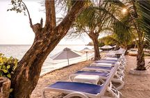 Tour Isla del Encanto Cartagena