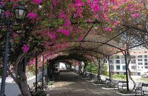 Guided Colonian Heritage Walking Tour in Panama