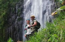 Private Materuni Waterfalls Hiking and Coffee Tour 