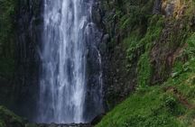 Private Materuni Waterfalls Hiking and Coffee Tour 