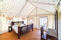 Luxury overnight safari 