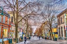 Trondheim Private Walking Tour