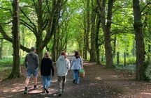 Courtown Woodland Guided Tour