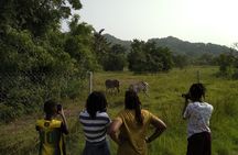 Half-day Accra Safari Tour