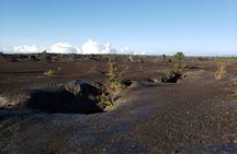 Hawaii Volcanoes National Park Private Tour