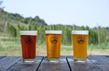 Agricultural Brewery Tour in the Roman Countryside