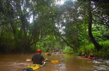 Chiang Mai : Kayak the Jungle Rivers of Chiang Dao Valley!
