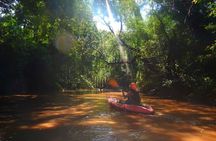 Chiang Mai : Kayak the Jungle Rivers of Chiang Dao Valley!