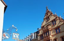 Segway Tours 2h in Colmar