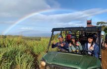 Zipline Mountain Adventure in Maui