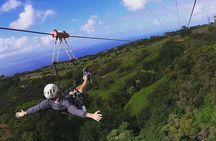 4 Dual-Zipline Mountain Adventure in Maui