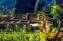 1 Day Tour to Machu Picchu by Train (group service)
