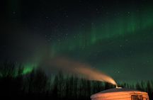 Fall Aurora Mushing Cart Ride Bucket List Adventure