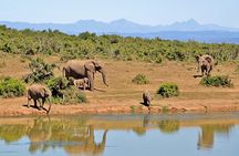 3 Day Samburu Safari