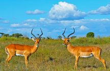 3 Day Samburu Safari