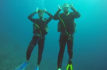Scuba Diving 2 Dives from the Boat 