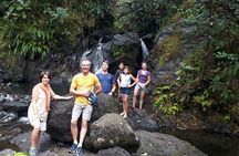 Crossing Island of Tahiti 4x4 Mountain, Waterfall, River, Basins