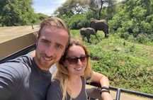 Private 6-Day Tarangire Manyara Crater and Serengeti with Mid-Range Lodges