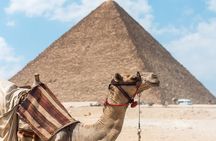 Day Tour To Giza Pyramids With Camel Ride And Egyptian Museum In Cairo