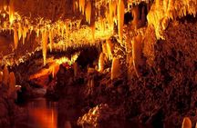 Half-Day Barbados Caves and Critters Tour with Pick Up