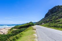 Half-Day Barbados Caves and Critters Tour with Pick Up