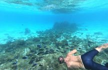 Stingray City, Star fish Point and Snorkeling Private Boat Tour